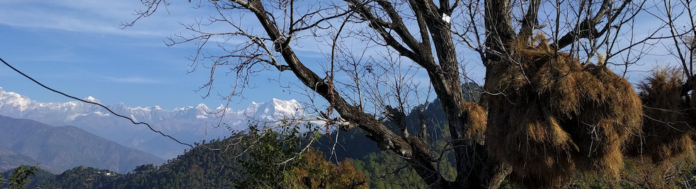 Chaukhamba from Maikoti